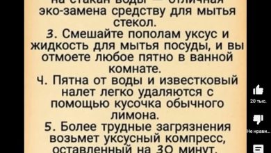 Photo of Советы по уходу за домом